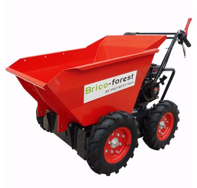 Mini dumper 350 R